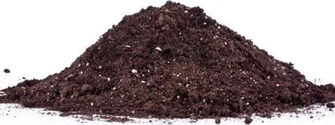 Mranita, ( cel mai bun ingrasamant natural) direct de la producator! ! ! - Imaginea 3