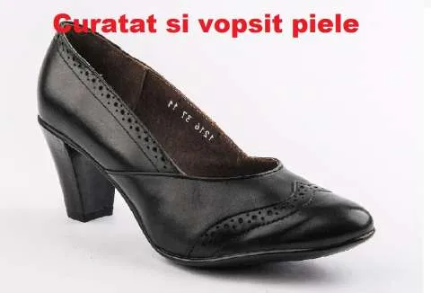 VOPSITORIE HAINE DIN PIELE SI INCALTAMINTE - Imaginea 4