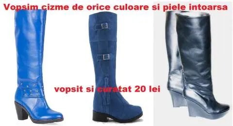 VOPSITORIE HAINE DIN PIELE SI INCALTAMINTE - Imaginea 6