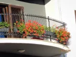 Inchiriere apartament - Miniatura 5
