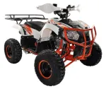 Atv Kxd Quad Toronto 006 RS7 GERMANY 2020! ! - Miniatura 1