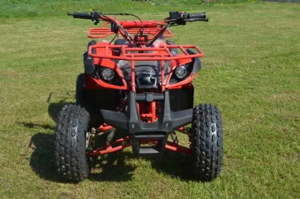 ATV GRIZZLY QUAD  M8, 2021, AUTOMAT - Imaginea 1