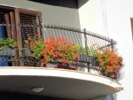 Apartament dornic de inchiriere - Miniatura 7