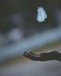 Cursuri de dezvoltare personala - Miniatura 3