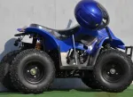 ATV MODEL: BIGFOOT 125CMC # FARA MARSARIER - Miniatura 2