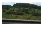 VAND URGENT teren intravilan in Valcele, jud. Covasna - Miniatura 7