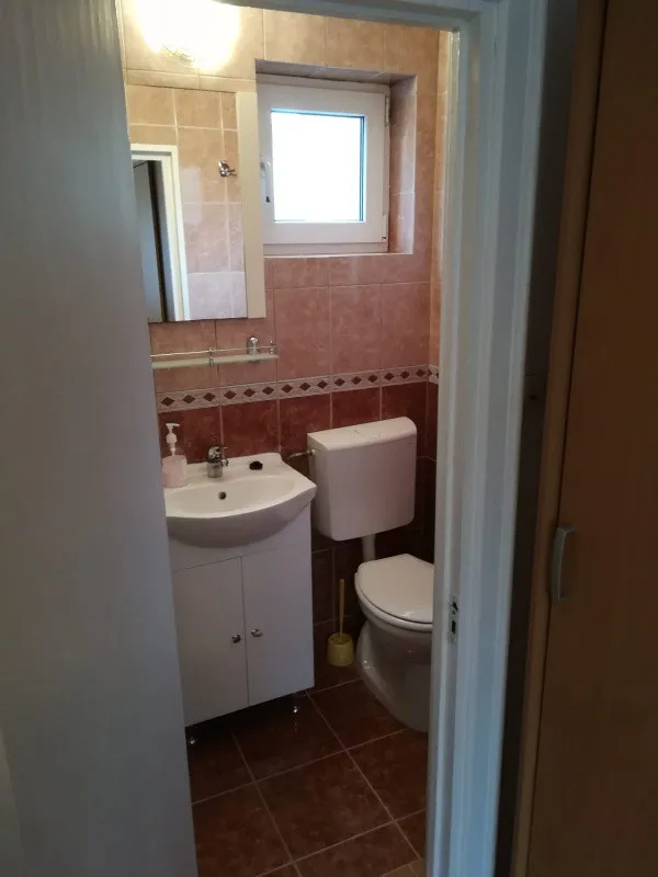 Garsoniera spre inchiriere, la casa, zona Lipovei - Timisoara - Imaginea 2