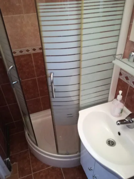 Garsoniera spre inchiriere, la casa, zona Lipovei - Timisoara - Imaginea 5