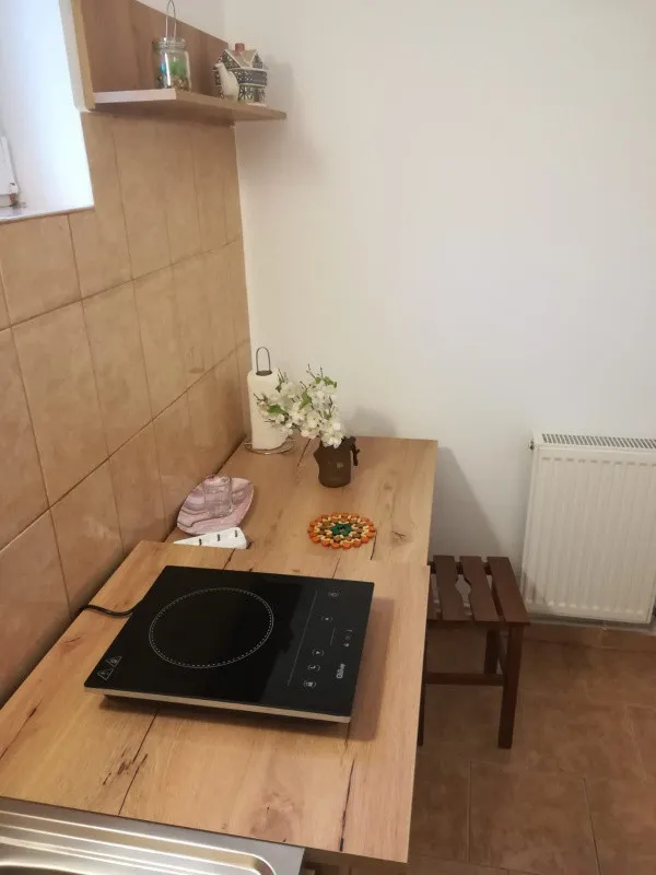 Garsoniera spre inchiriere, la casa, zona Lipovei - Timisoara - Imaginea 7