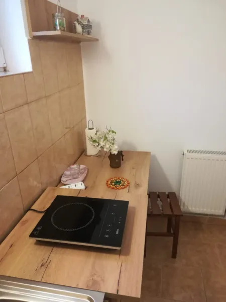 Garsoniera spre inchiriere, la casa, zona Lipovei - Timisoara - Imaginea 7