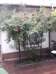 casa si teren - Miniatura 6