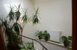 casa de vanzare Bucurestii Noi - Miniatura 4