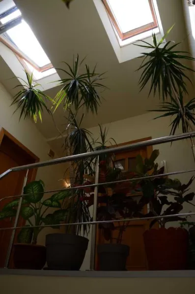 casa de vanzare Bucurestii Noi - Imaginea 6