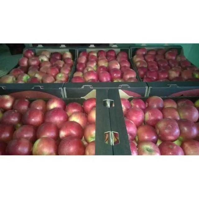 Vand mere din soiurile Jonathan, Florina, Mutzu si Starkinson - Imaginea 1