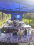 Servicii Funerare Complete Bradesti, Poiana, Gorj si Strehaia - Miniatura 6
