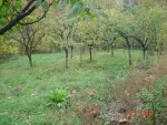 Vand teren intravilan - Miniatura 8