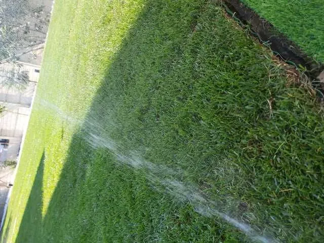 Insamanta gazon amenajare curte montat rulou piatra ornamentala - Imaginea 2