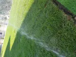 Insamanta gazon amenajare curte montat rulou piatra ornamentala - Miniatura 2
