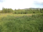 Vand teren la Munte, zona Vatra Dornei, de la 1 E/ mp - Miniatura 1