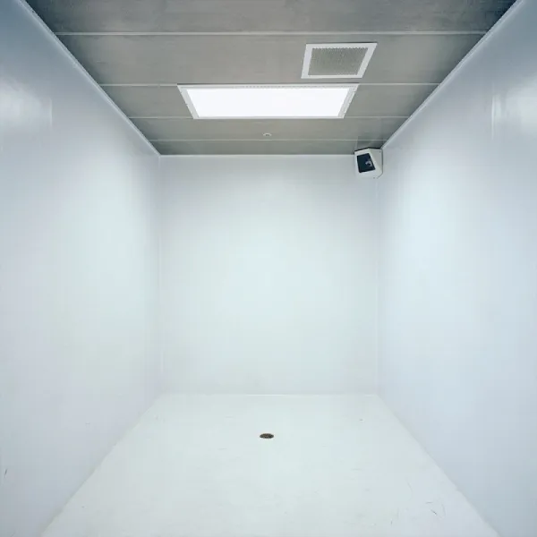 CAPITONAJ CAMERE DE PROTECTIE PENITENCIARE / SPITALE PSIHIATRIE - Imaginea 1