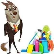 SERVICII DE CURATARE A ZONEI COMUNALE Si Ecologica, Birouri
