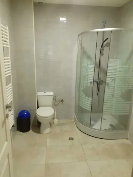 Bragadiru ilfov vindem Vila 4 camere p+ e supt 240 mp la cheie - Imaginea 10