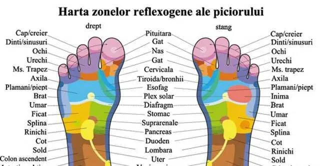 Aparat de antrenament prin acupunctura. Yoga, Sport, Arte martiale. - Imaginea 4