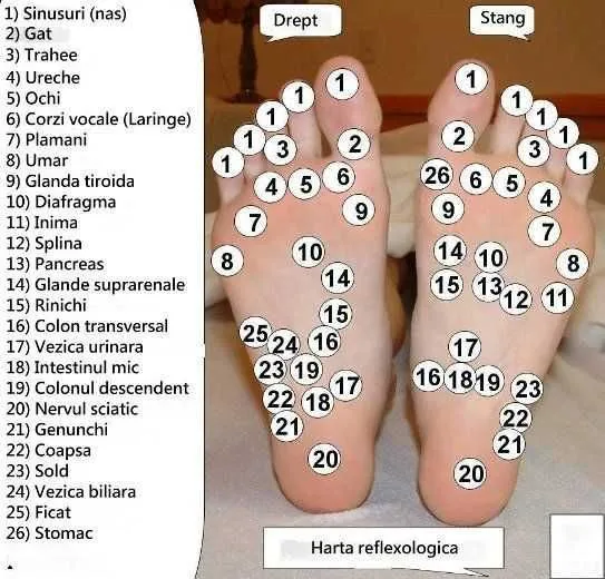 Aparat de antrenament prin acupunctura. Yoga, Sport, Arte martiale. - Imaginea 5