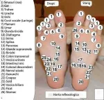 Aparat de antrenament prin acupunctura. Yoga, Sport, Arte martiale. - Miniatura 5