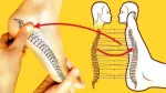 Aparat de antrenament prin acupunctura. Yoga, Sport, Arte martiale. - Miniatura 6