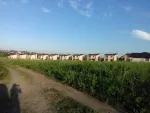 Teren intravilan Miroslava Coso Garaj - Miniatura 3