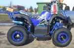 ! PROMOTIE ! ATV NITRO MOTORS TORONTO MIDDI  M7, 2021, AUTOMAT - Miniatura 2