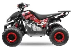 Atv 125Cc Rizzors Deluxe - Miniatura 3