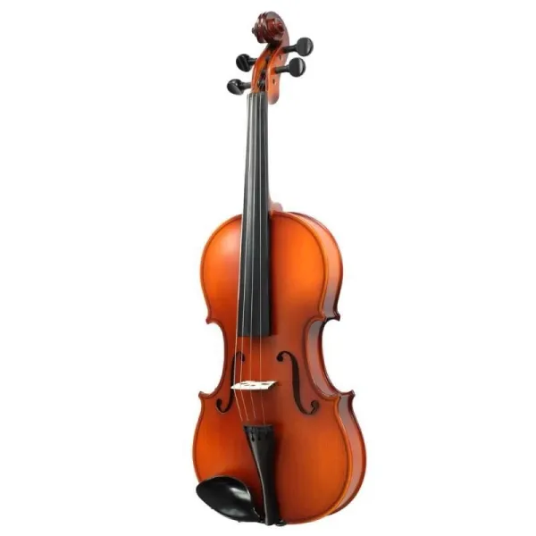 Vioara de cea mai inalta calitate la pret avantajos - Imaginea 1