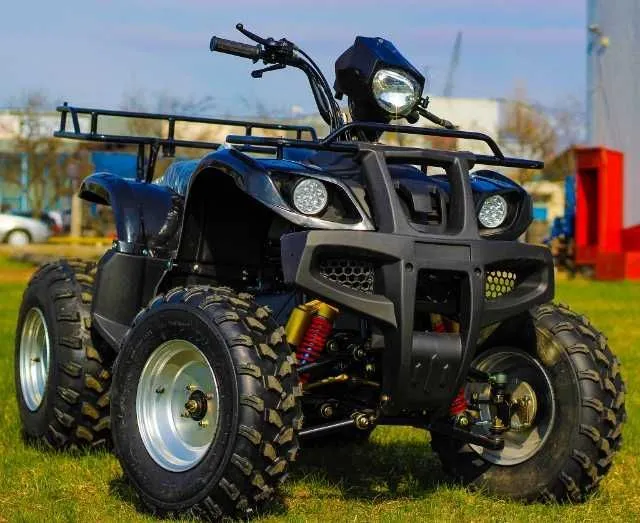 ! OFERTE SPECIALE DE VARA ! Atv AKP Grizzly M10 - Imaginea 2