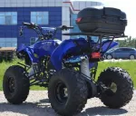 ! PROMOTIE ! ATV NITRO MOTORS WARRIOR LED 3G M8, 2021, SEMI- AUTOMAT - Miniatura 3