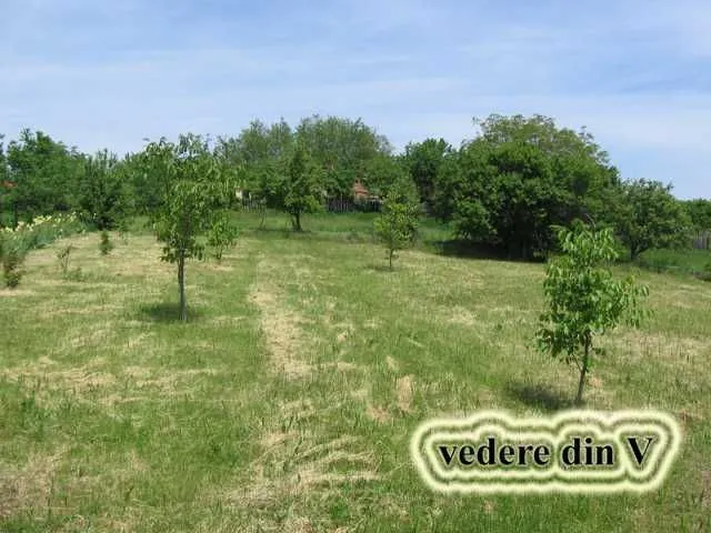 Teren intravilan | Seciu PH | 1609 mp - Imaginea 1