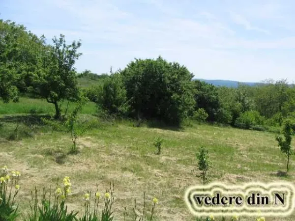 Teren intravilan | Seciu PH | 1609 mp - Imaginea 5