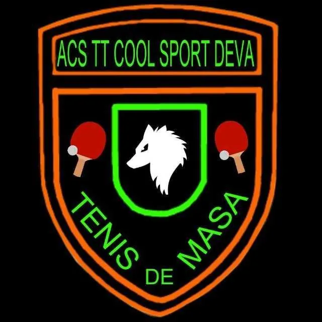 Asociatia club sportiv table tennis cool sport Deva - Imaginea 1