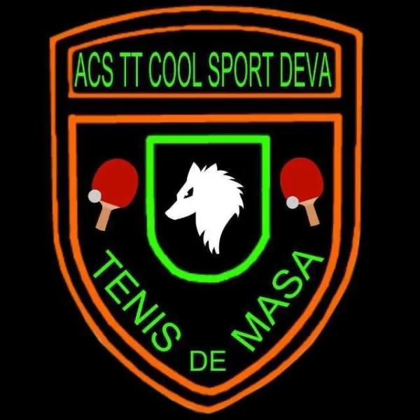 Asociatia club sportiv table tennis cool sport Deva - Imaginea 1