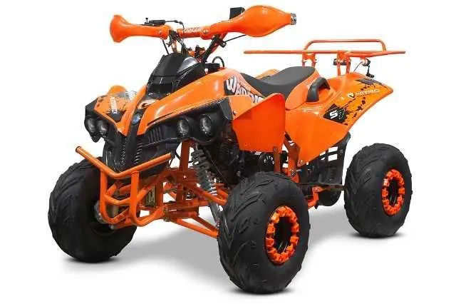 Atv 125Cc Renegade Sport - Imaginea 1