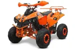 Atv 125Cc Renegade Sport - Miniatura 1
