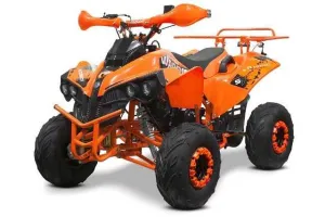 Atv 125Cc Renegade Sport