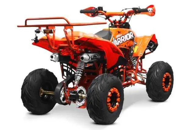 Atv 125Cc Renegade Sport - Imaginea 2