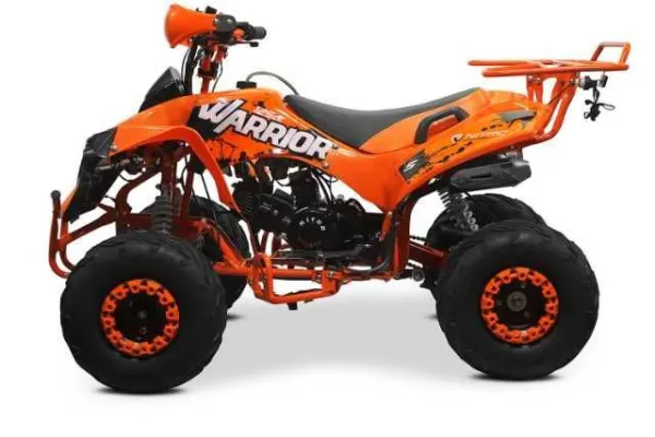 Atv 125Cc Renegade Sport - Imaginea 3