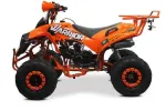 Atv 125Cc Renegade Sport - Miniatura 3