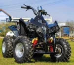 Atv 250Cc Akp Warrior Deluxe - Miniatura 2