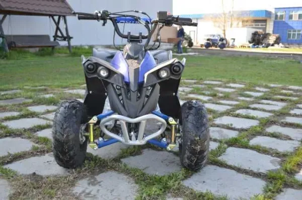 ATV Avenger Deluxe, M6, 2021, AUTOMAT - Imaginea 1