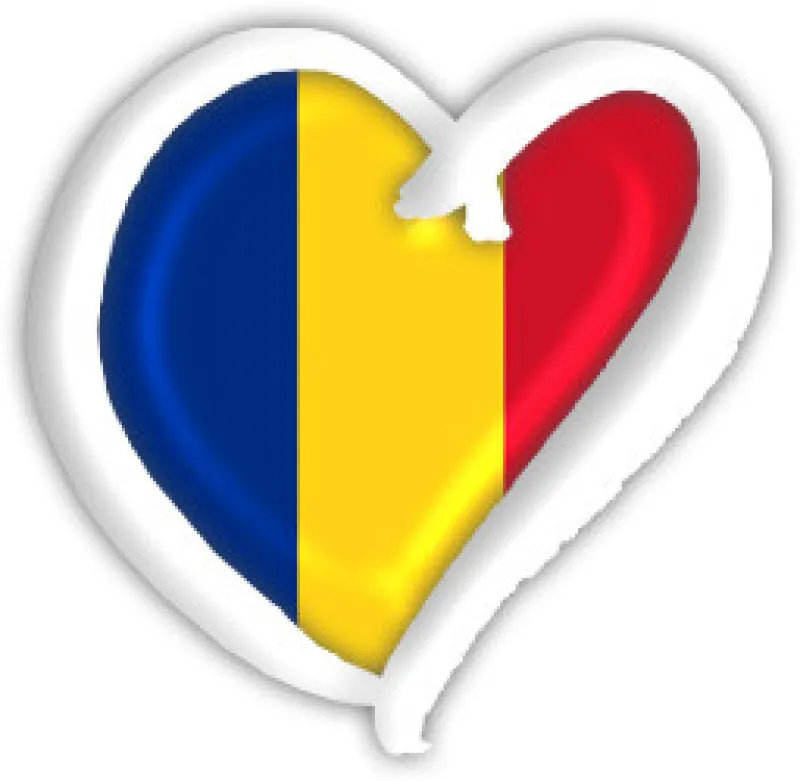 Traduceri rapide in Craiova & Romania - Imaginea 6