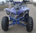 ATV WARRIOR RS 125CC - Miniatura 1